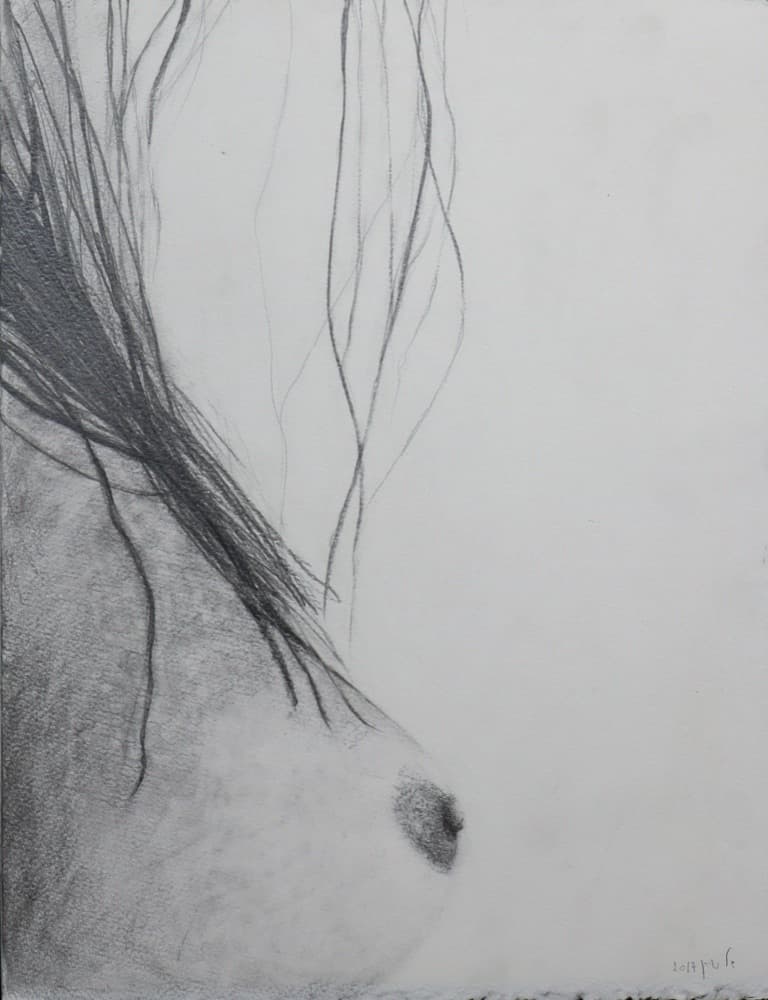 Nipple, 2017